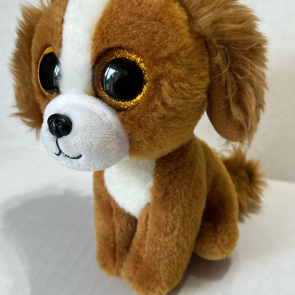 “Tala” Ty Beanie Boo plush dog